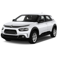 C4 Cactus