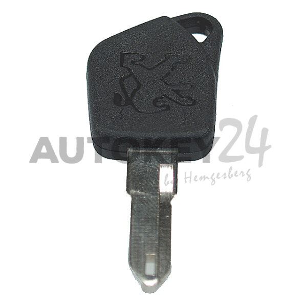Zündschlüssel einfach - 9926L7