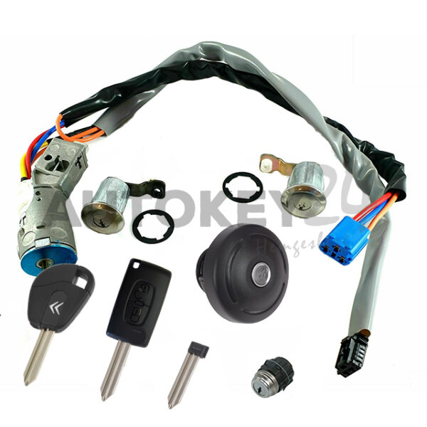 Schlosssatz Citroen Berlingo ab Orga Nr.14938 - 9824529380
